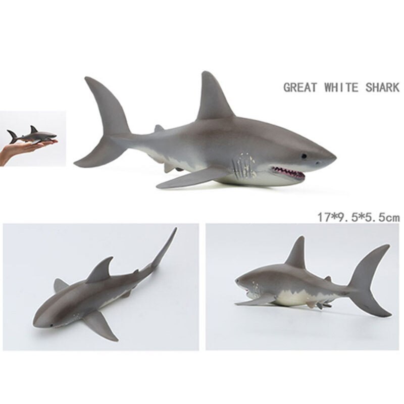 Educational toys for children simulated animal ocean great white shark seabed creatures girls toys for kids school learning: Great white shark