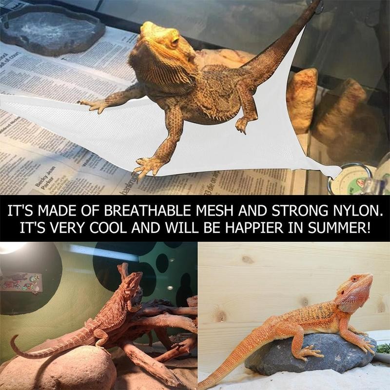 Reptile Hammock Lounger Ladder Accessories Set For Large Small Bearded Dragons Geckos Lizards Or Snakes Lizard Triangle Net 2pcs