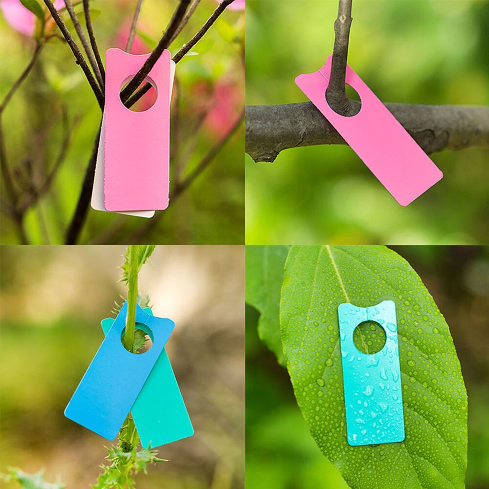 200Pcs Pack Labels Melon Fruit Multifunction Portable Sample Board Orchard Plant Sticker Garden Decoration