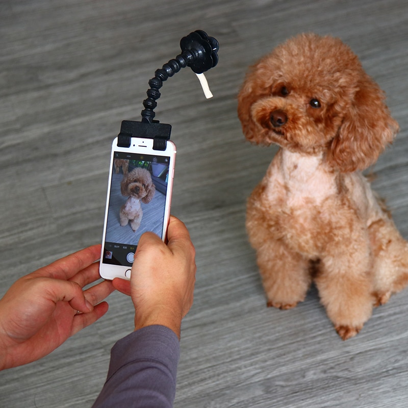 Huisdier Selfie Stick Voor Iphone Samsung En Meest Smartphone Huisdieren Hond Kat Fit Tablet Zwart/Wit Huisdier Selfie Stok