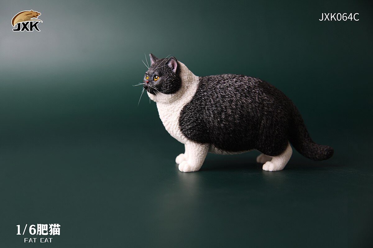 JXK 1:6 Scale Fat Cat Figure Cute Pet Animal Model Collector Kids Toy Desktop Decor Shorthair Cat Trendy Ornaments