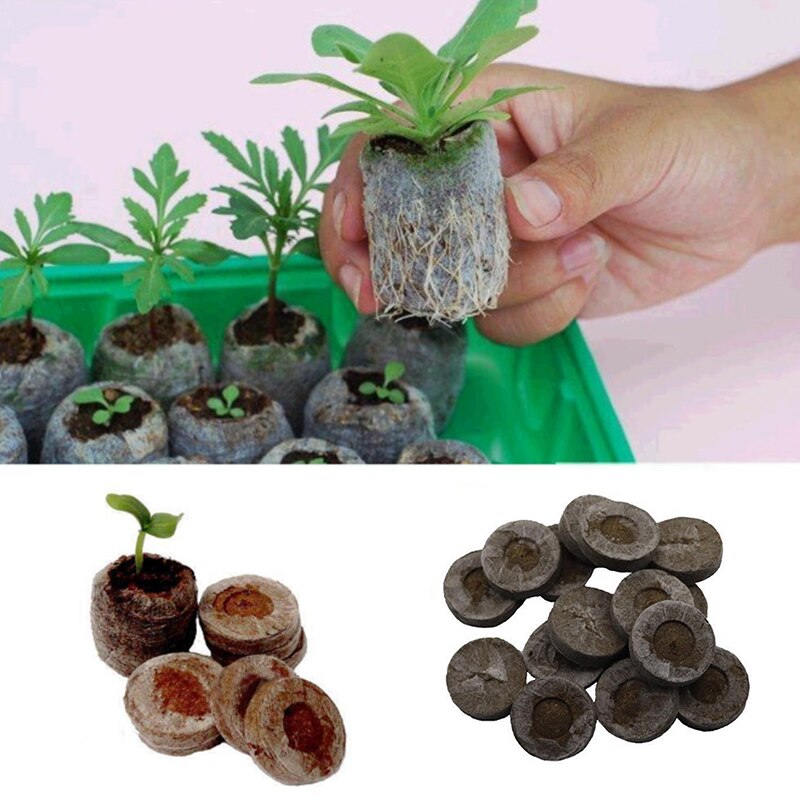 Convenient Nursery Soil Block Seedlings Peat 3*3*1CM 5PCS Condense Planting Flowers Seed