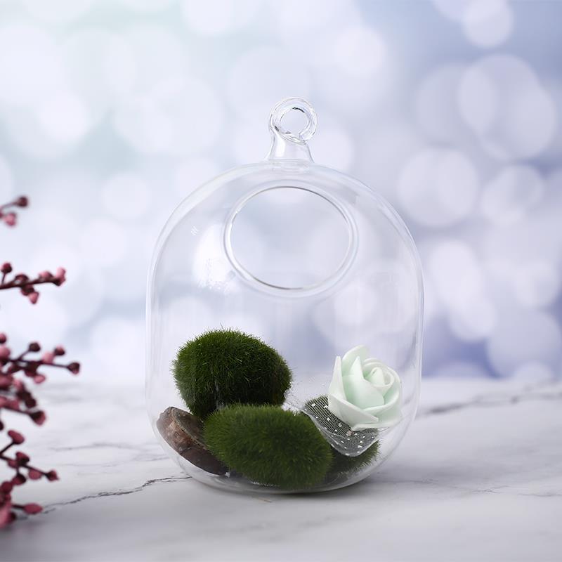 Glass Vases Handmade Transparent Fishbowl Fishbowl Transparent Hanging Vases Air Plant Vases Aquarium Bowl Fish Tanks