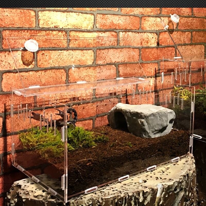 Transparent Acrylic Reptile Box for Spiders Tortoise Lizard Breeding Insect Box Vents Sliding Small Pet Terrarium Vivarium