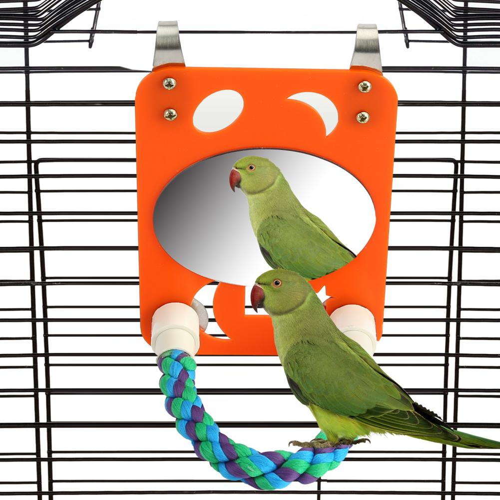 SALES Bird Mirror Swing Parrot Cage Toy with Rope Perch for Parakeet Cockatoo Cockatiel Conure Lovebirds Finch Cana