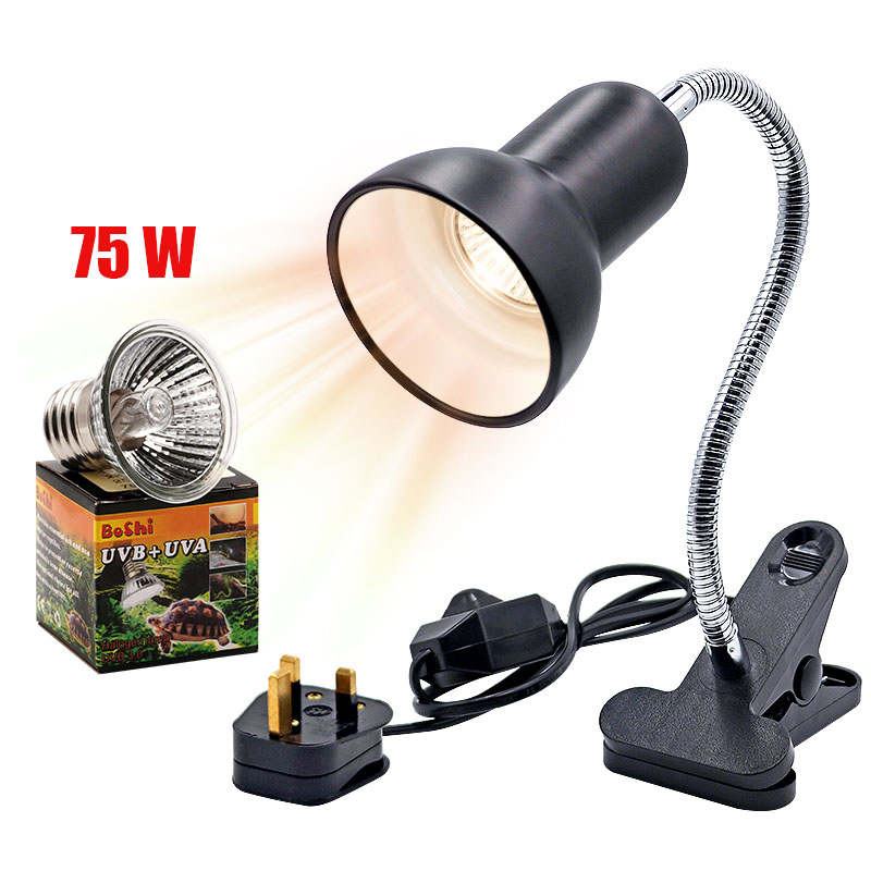 impostato portalampada per rettili UVA + UVB 3.0 con termometro a clip, igrometro, lucertola, tartaruga, tartarugatura, lampadina riscaldante 220V: Luce Verde