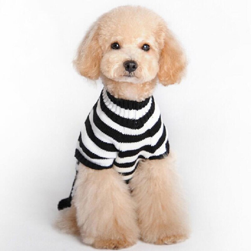 Skull Pet Sweater Halloween Sweater for Chihuahua Teddy Striped Cozy Dog Sweaters for Small Dogs Autumn Winter Warm Pet Clothing