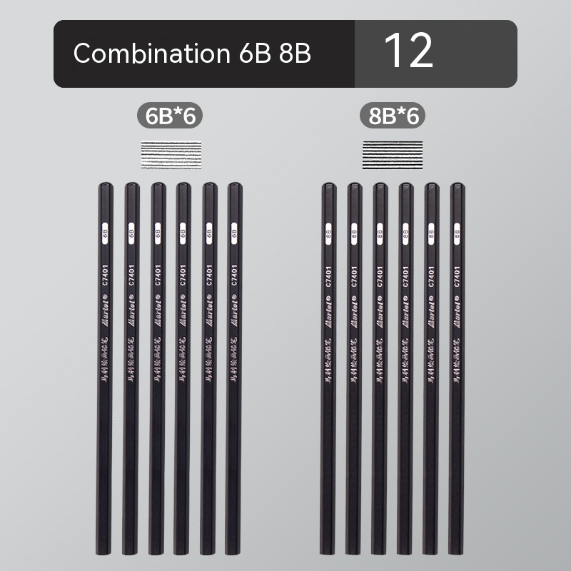 12Pcs 2H HB B 2B 3B 4B 5B 6B 7B 8B 12B 14B Sketch Drawing Graphite Shading Charcoal Pencils Set Sketching for Artists Beginners: Brown