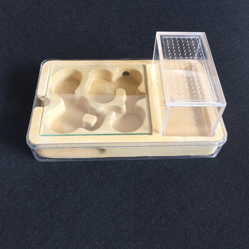 Ant Flat Plaster Nest Acrylic Ant Farm Small Community Breeding Box Insect Supplies