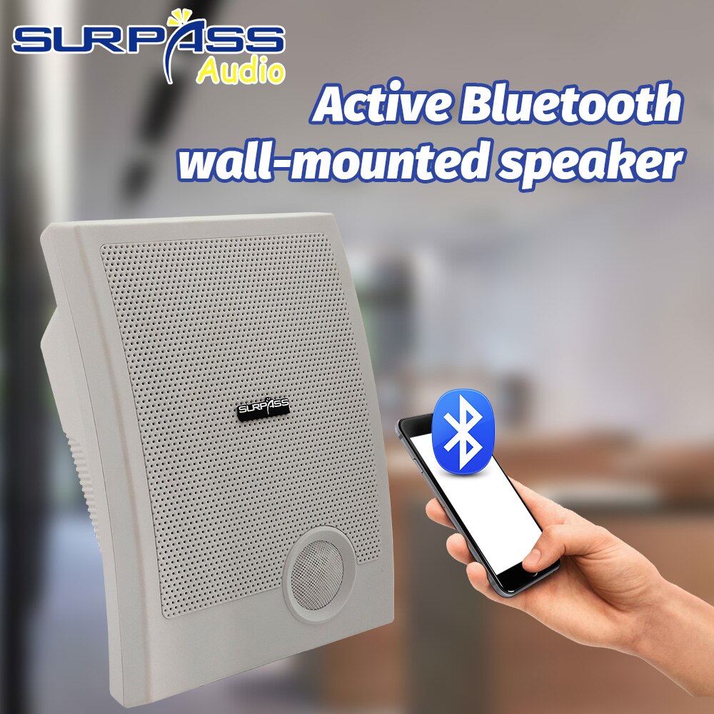 Speaker Bluetooth 10W PA Active Wall Mount Hifi Fidelity Loudspeaker Surround Sound Subwoofer Home Theatre System