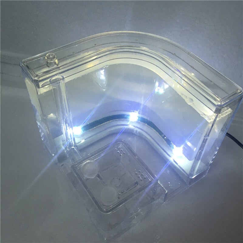 LED Ant Farm Home Ecological Insect Ecology Box Science Educational for Children Ants Pet Toys Reptile 6 Colors Ant Nest: White LED