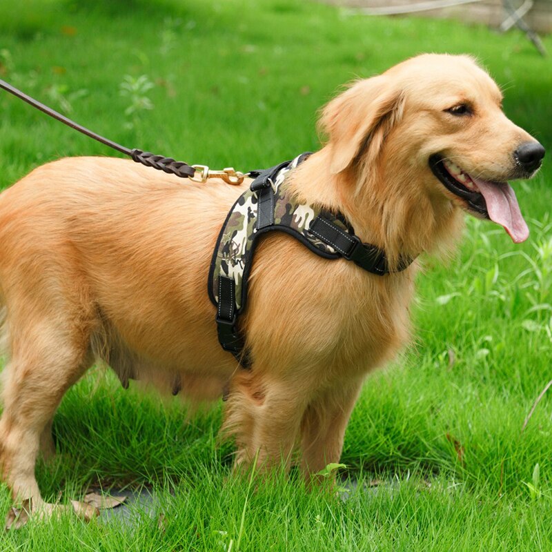 Service dog Vest for walking harness dog collar leash padded pet harness Vest dog clothes for Winter Leopard