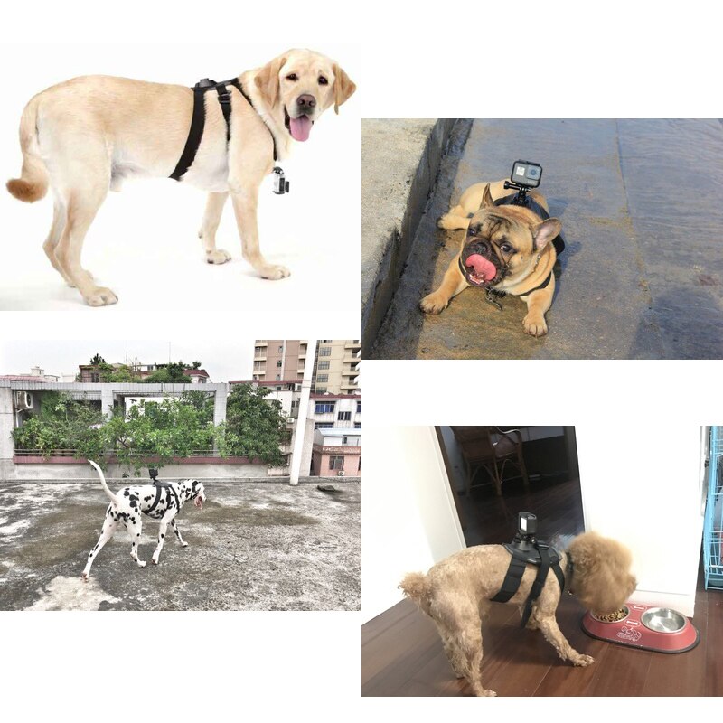 Bande de chien réglable pour Gopro hero 9 8 7 6 5 4 harnais de chien ceinture de poitrine sangle de sport support de montage de caméra pour SJCAM Xiaoyi