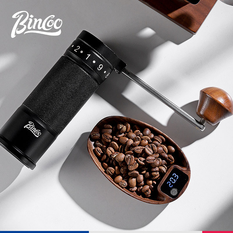 Bincoo-báscula electrónica inteligente para cocina, báscula para café, placa para granos, 0,1g, peso preciso, recargable