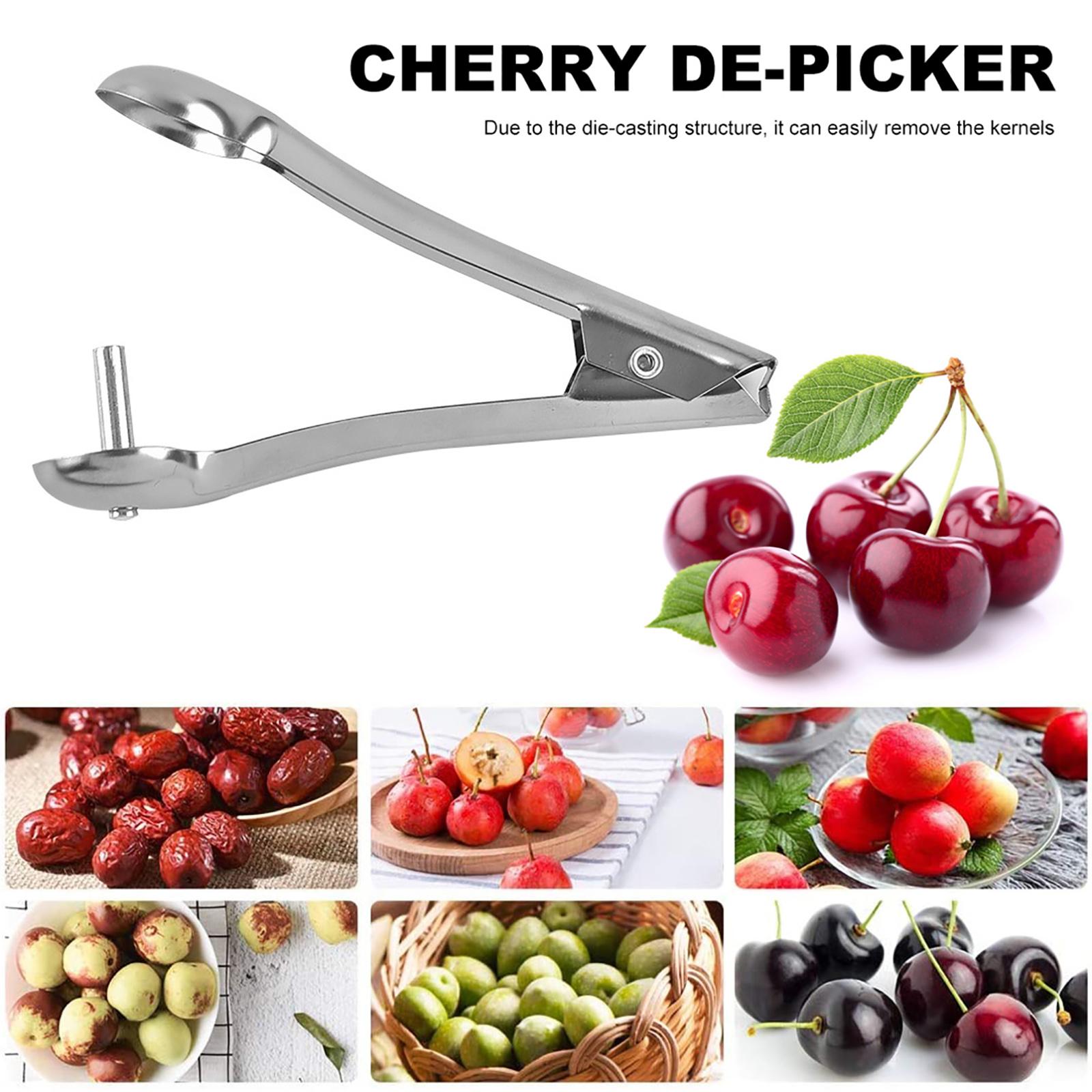 Gadgets pratiques en acier inoxydable pour enlever le noyau de la fosse à fruits, accessoires de presse à main, kit pour la maison et la cuisine
