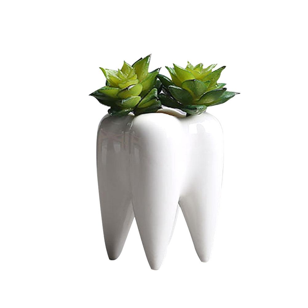 Tooth Shape Innovative White Ceramic Succulent Plants Flower Pot Modern Planter Without Plants Included: Default Title