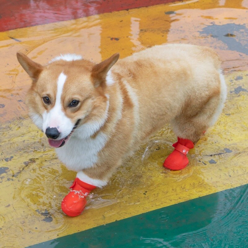Hundesko silikone regnsko galoshes vinter sne sko til hund vandtætte støvler kæledyrsforsyning hundetilbehør