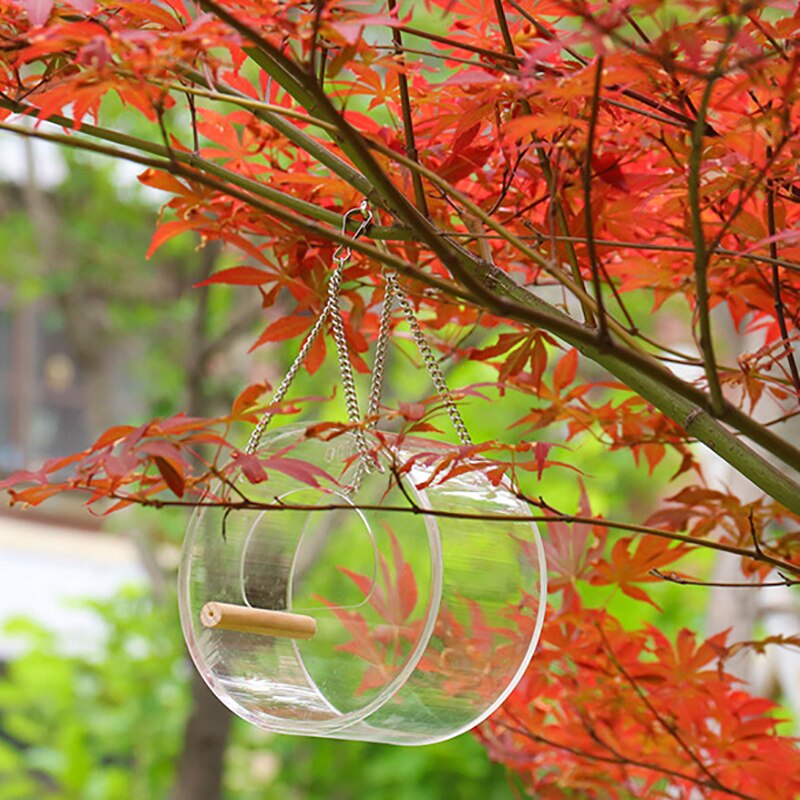 Bird Feeder Transparent Window Viewing Bird Feeders Tray Birdhouse Pet Water Feeder Suction Cup Mount House Type Feeder