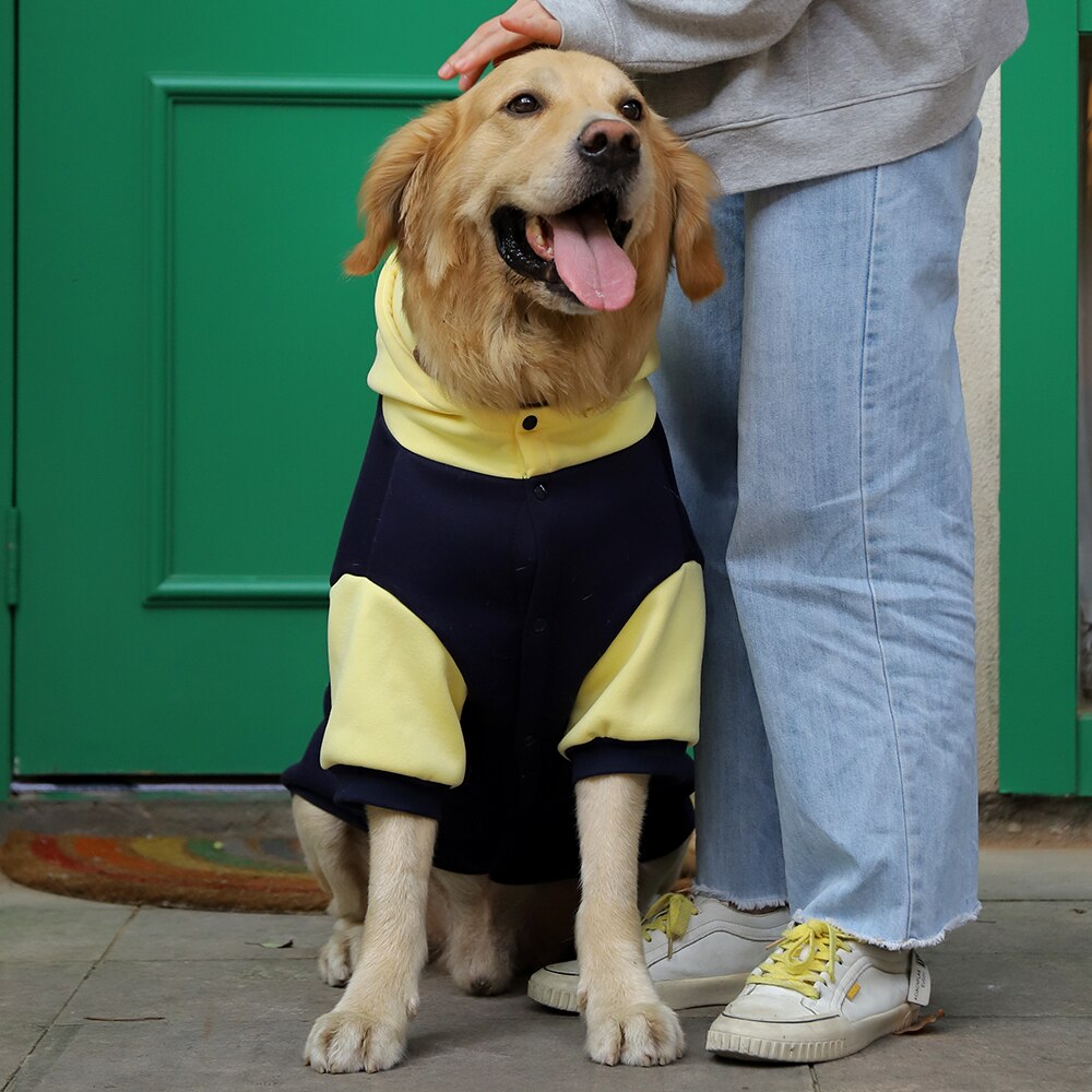 Masticar grueso Otoño e Invierno Sudadera con capucha para perros, Labrador perros grandes salida ropa de dos-pierna botón abrigo para mascotas mono para perro