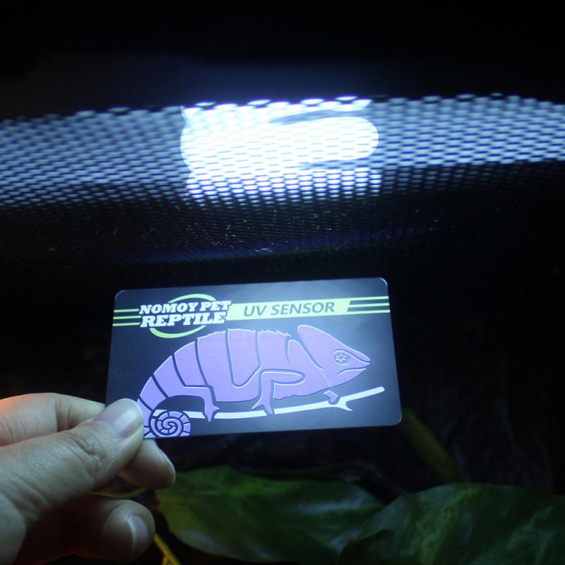 10 Seconds Detection Of Crawler Pet UVB UV Test Card UV Life Detection Test Card Habitat Lighting Reptiles & Amphibians Pet P