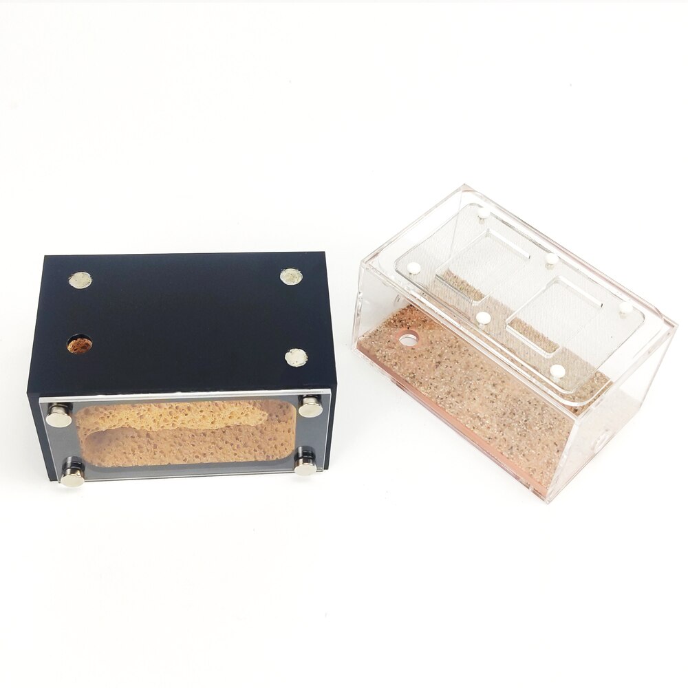DIY Antgranery Foaming Concrete Feeding Area Acryl Ant Farm Ants House Birthday Feeding Area For Home