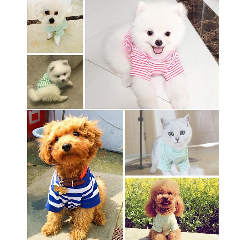 Summer Dog Clothes Striped Pet Dog Tshirt Pets Clothing For Small Medium Dogs Costume Chihuahua Dogs Clothes Cat Puppy Outfit