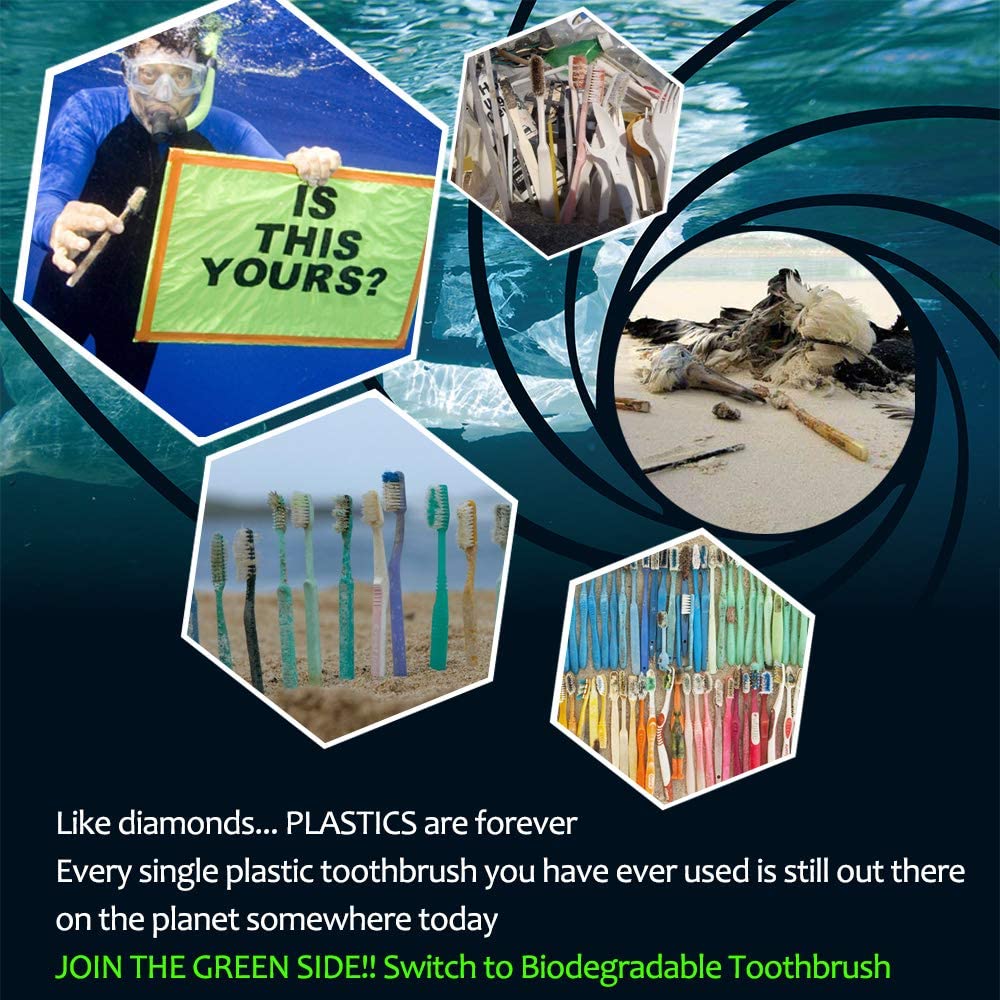 Biodegradable Bamboo Toothbrushes, 10 Piece BPA Free Soft Bristles Toothbrushes, Natural, Eco-Friendly, Green and Compostable