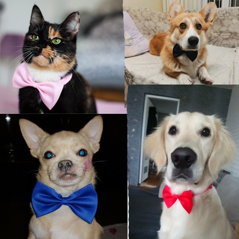 Honden Accessoires Huisdier Kawaii Hond Kat Ketting Verstelbare Riem Voor Kat Kraag Hond Strikje Puppy Strikjes Hond dierbenodigdheden