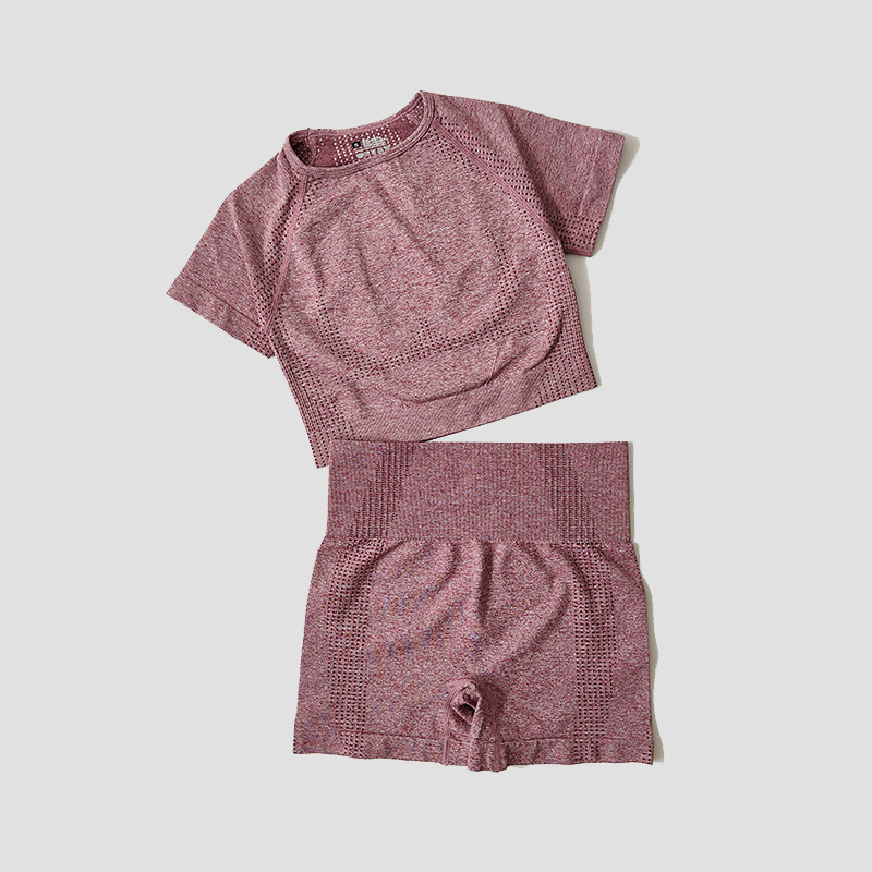 Conjunto de Yoga sin costuras para mujer, Top corto, camisa de manga corta, pantalones cortos de Fitness, ropa de entrenamiento para mujer, ropa de gimnasio, conjunto deportivo de Yoga: M / Color de piel