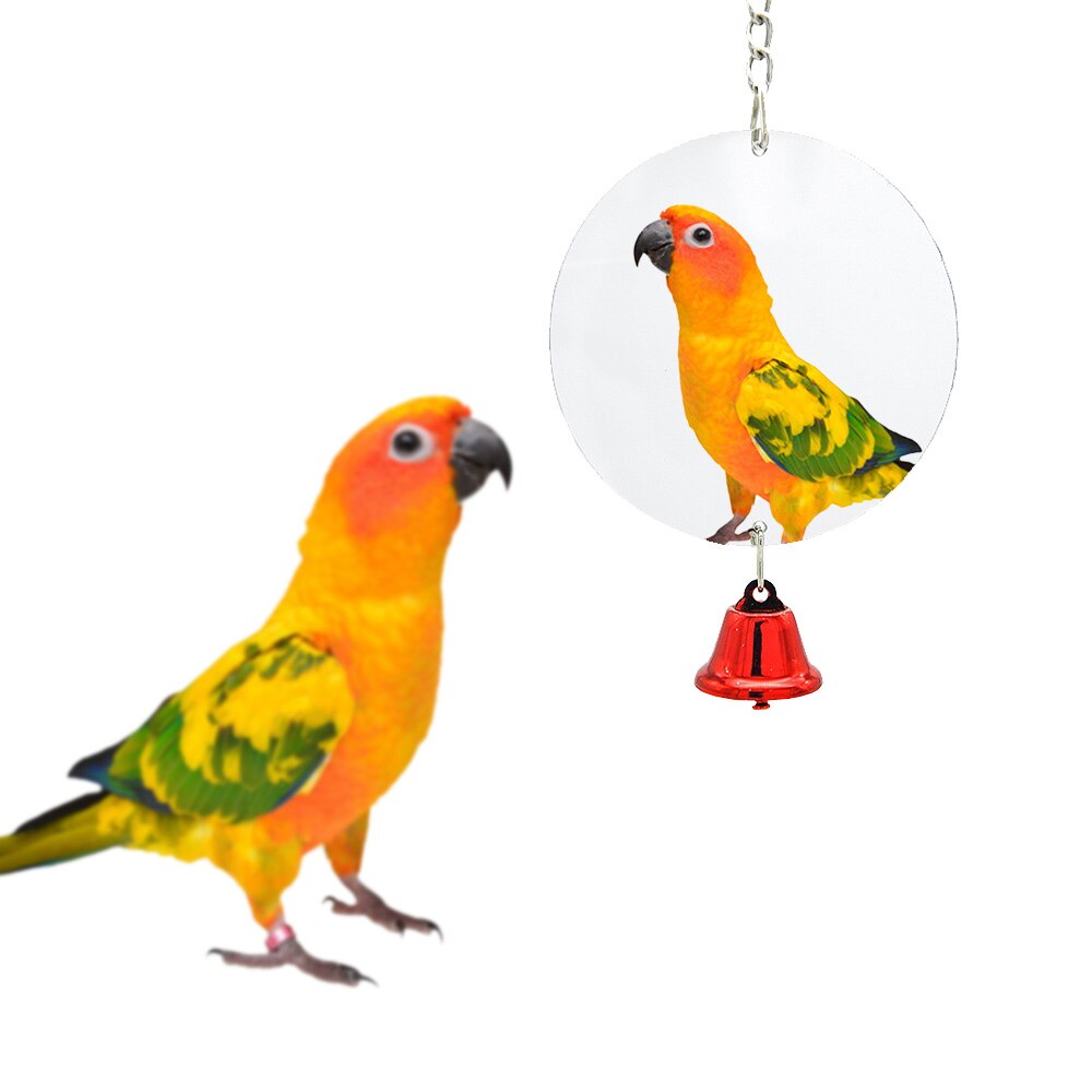 1PCS/Set 8 Style Combination Parrot Toy Bird Articles Bite Toy Bird Toys Parrot Funny Swing Ball Bell Standing Training Toys