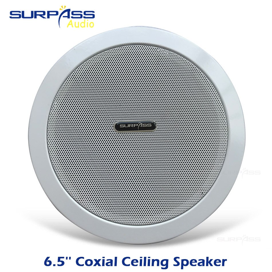 6.5 Inch Coxial Plafond Luidspreker Met Back Cover Voor Home Achtergrond Muziek Systeem Pa-systeem Dak Subwoofer Hoorn