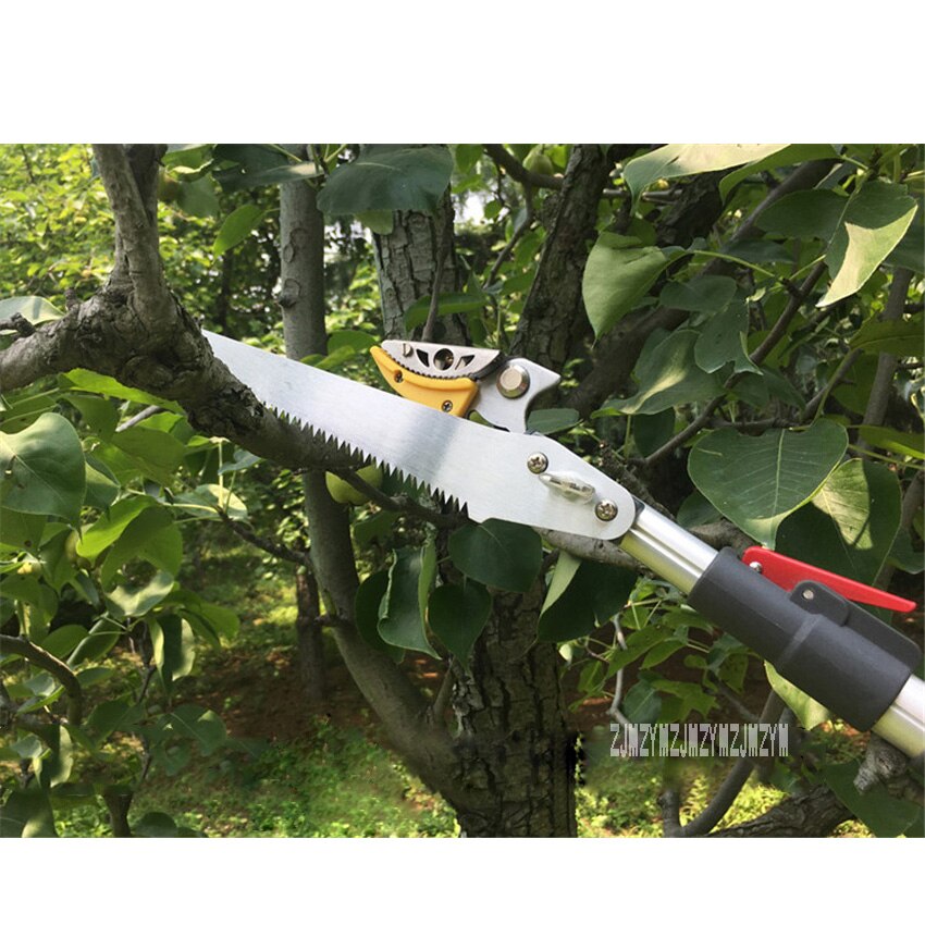 Tijeras para podar árboles frutales, herramienta de poda de ramas altas, telescópica, para jardín, mejorado, 3 metros