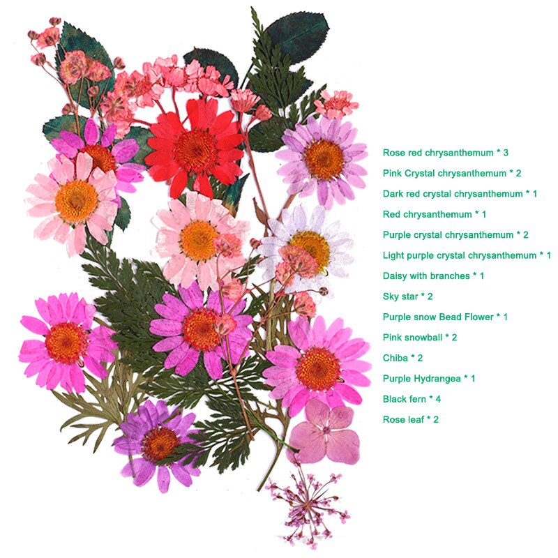 Pressed Flower Mixed Dried Flowers DIY Art Floral Decors Collection Craft DIY B99: a-1
