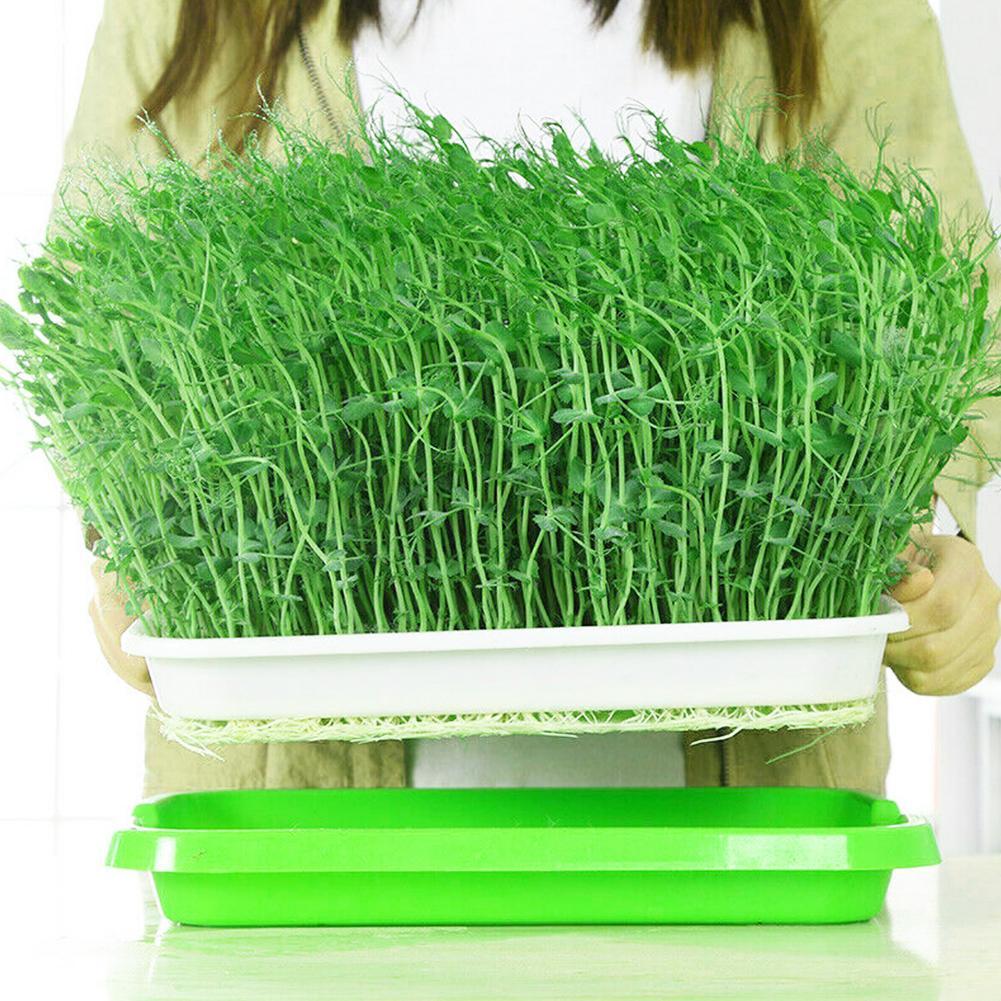 Bandeja de vivero de brotes de doble capa, gran capacidad, resina, trigo, plantación de césped, bandeja de guardería, tabla de germinación, bandeja de guardería para jardín