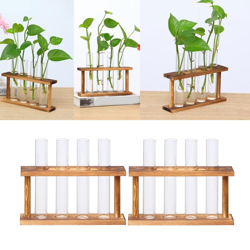 2 stücke Kristall Glas Reagenzglas Anlage Terrariu... Vicedeal