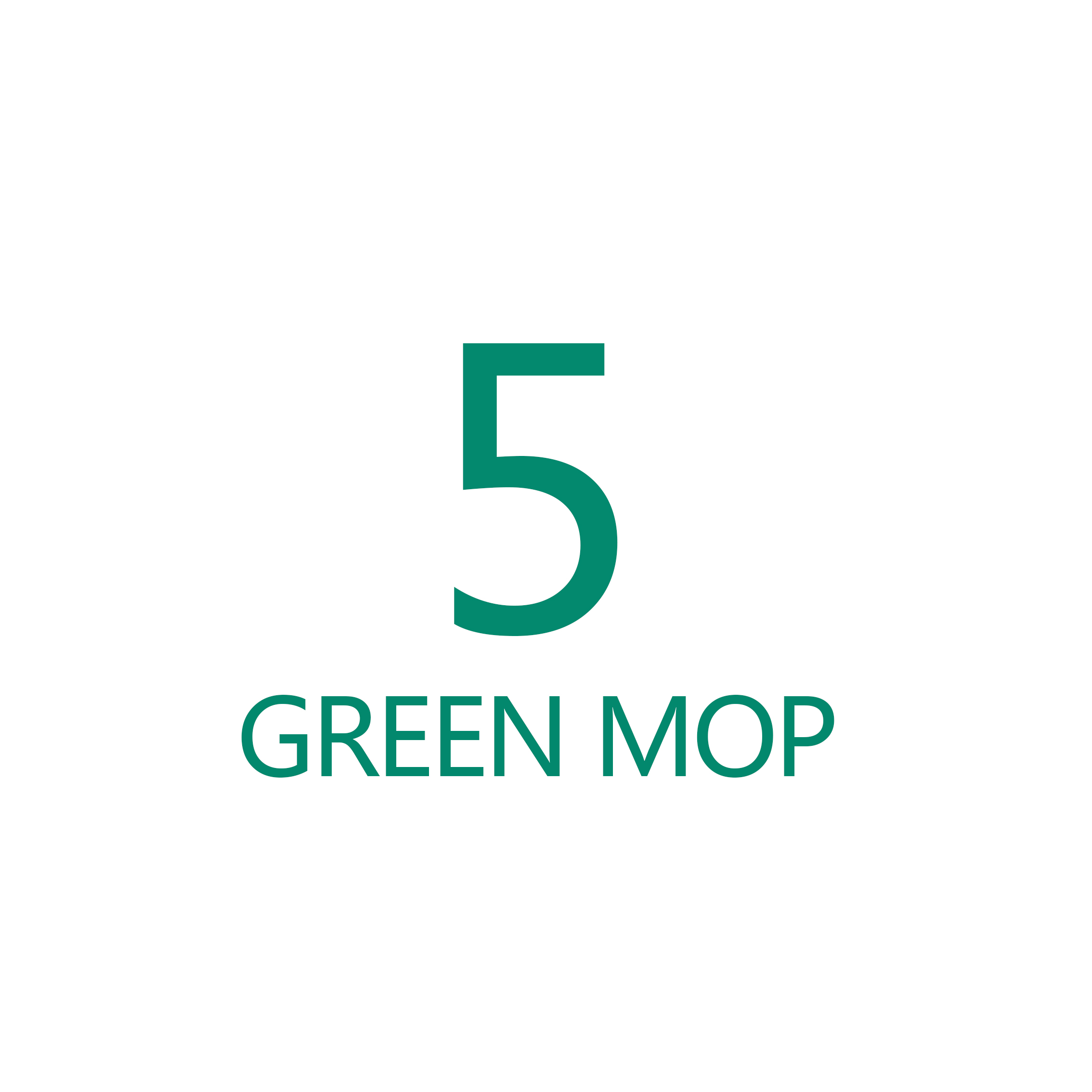 Magic Microfiber Cleaning Mops: 5  GREEN