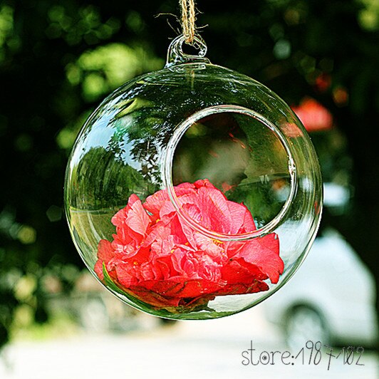 Globe transparent en verre rond à suspendre en 6/8/10cm, 8 pièces, Terrariums à plantes, boules de fleurs, Vase de fleurs pour décorations de mariage, à monter soi-même