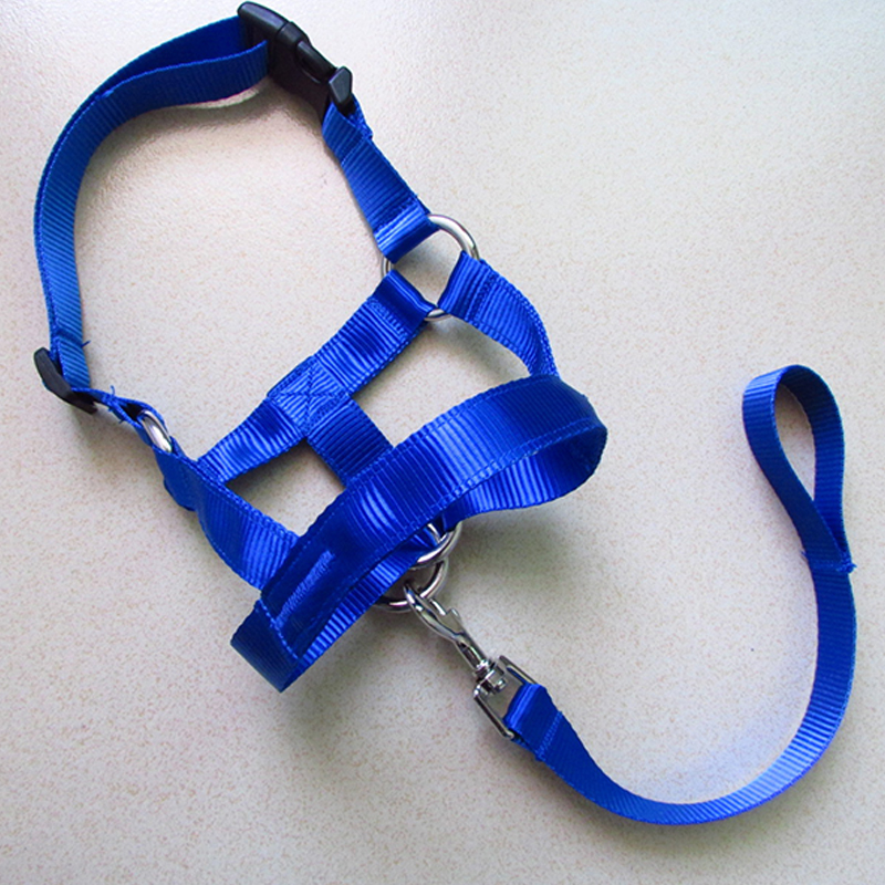 Collar de cabeza de entrenamiento con cuello Halter para perro, arnés de poliéster con cuello Halter, , ideal para cualquier temporada