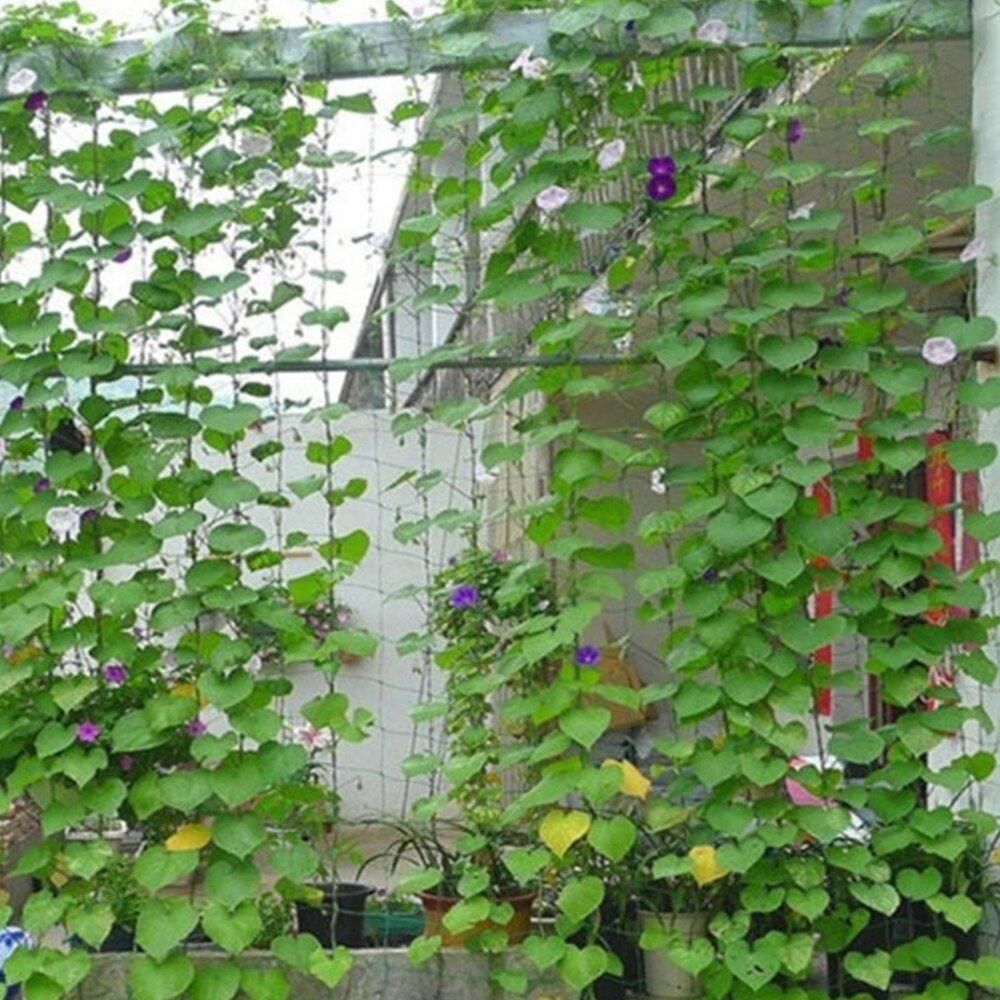 High and useful plastic mesh cloth plants melons and fruits climbing vines nets vines flower garden plants climbing net