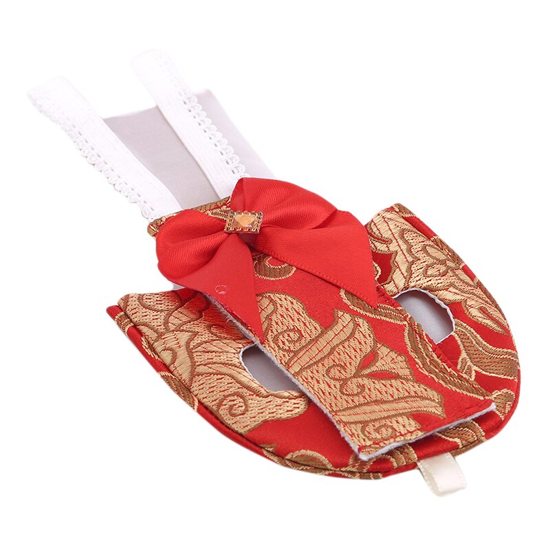 Bird Parrot Flight Suit Clothes For Green Cheek Conure Parakeet Cockatiels Pigeons Medium Large Pet Bird