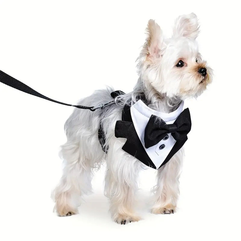 Hunde-Smoking-Kostüm, formelles Hemd, Hundehochzeit, schwarzer Jackenanzug, Haustier, Welpe, Prinz, Zeremonie, Fliege, Anzug, kleine Hunde, Katzenweste, Kleidung