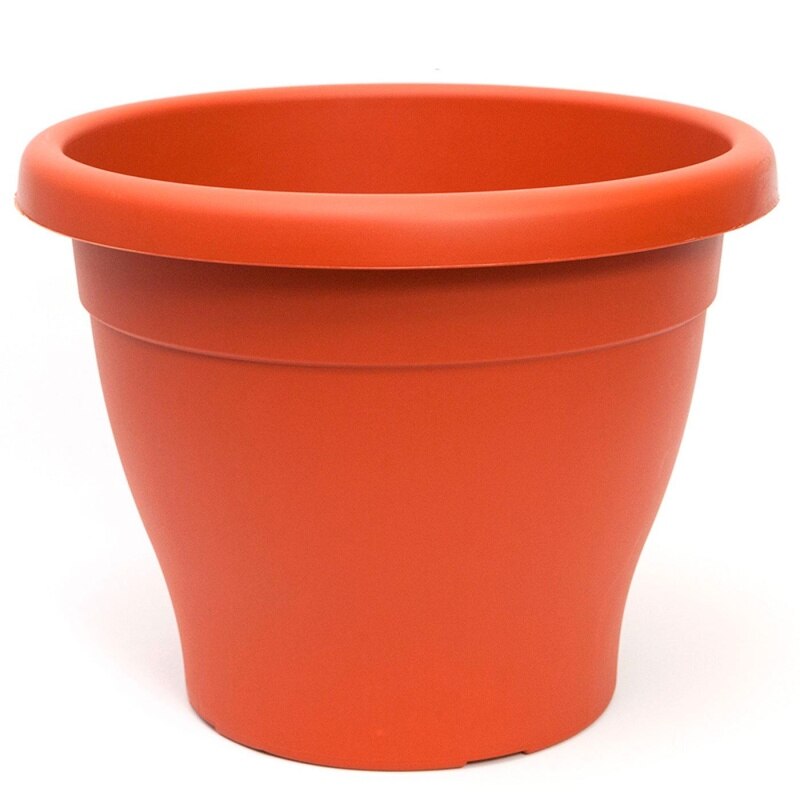 VASO MEDITERRANEO MULTIUSO Vetro 75 ml [96 Unità] EUR 75,99 - IT