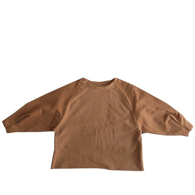 Childrenswear Frühling Neue Schönheit Samt mit Langen ärmeln T-shirt Mädchen Shirts Tops: brown / 80CM