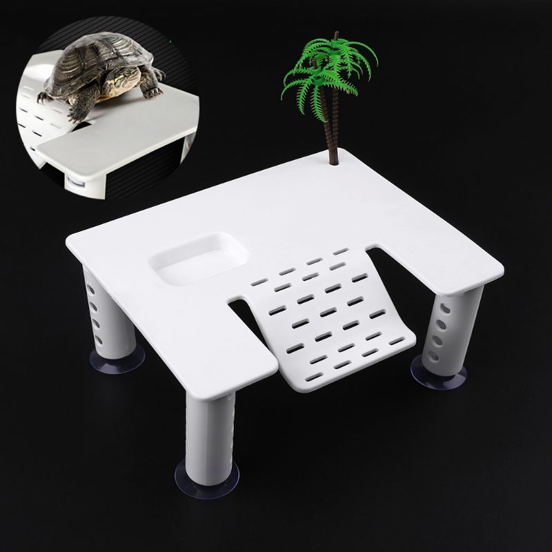 Plataforma para reptiles, Acuario de tortugas, escalera para escalar, Isla,