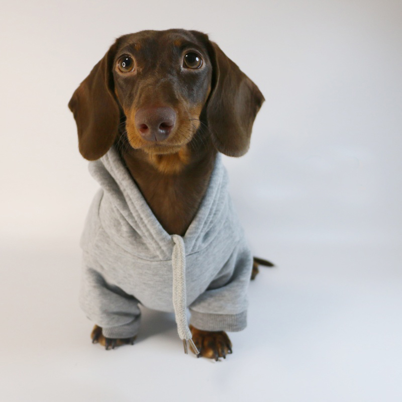 Kul pølse-hettegenser til små hunder, varme valpeklær, dachshund-genser, maskotkostyme, roupa cachorro