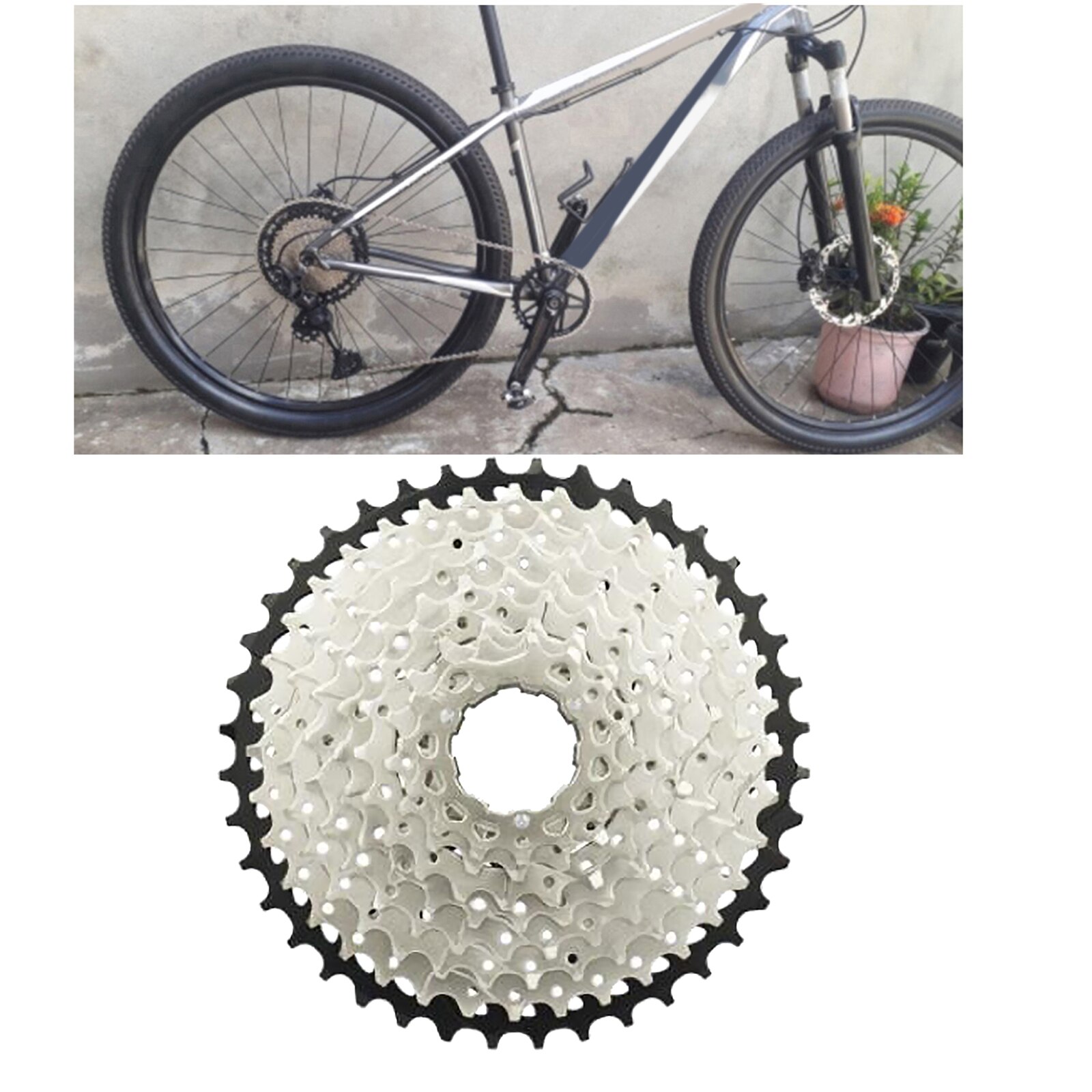 Bicycle Freewheel High-Tensile Steel Sprocket Bike Freewheel for Bicycle Maintenance Bicycle Flywheel Bike Modification: 10 speed 11-40T