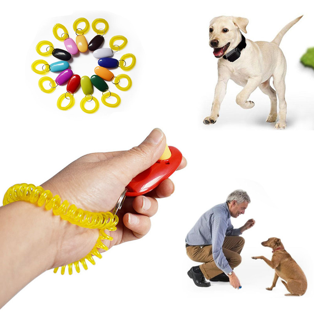 Puppy Training Tool Draagbare Hond Plastic Clicker Geluid Trainer Huisdier Wrist Strap Band Knop Clicker Huisdier Accessoires Op Voorraad