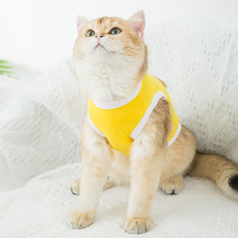 Vêtements mignons de chiot de dessin animé pour petits chiens, Costume de loisirs de printemps pour chat imprimé, vêtements pour animaux de compagnie pour teddy sport