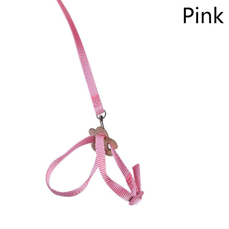 Collier De Dressage En Cuir Pour Chien - Avec Poignée Et Plaque Personnalisable, Contrôle Rapide, Taille M Brun