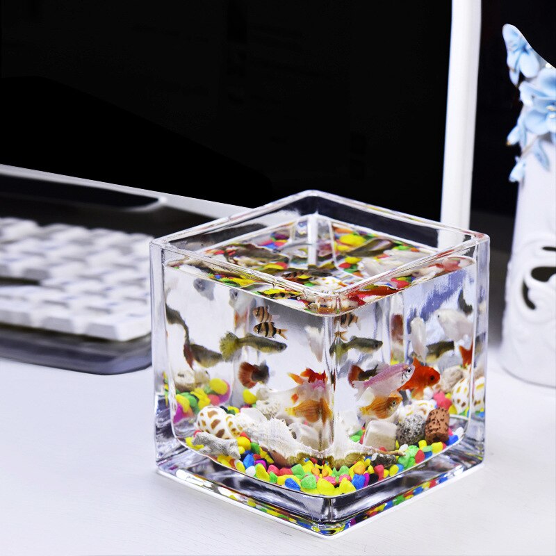 Table top small fish tank small aquarium living room small household crystal glass ecological Mini tank square fish